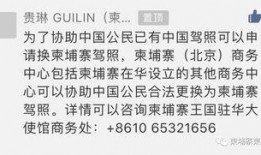 爆料西港段子视频,一场爆笑的爆料狂欢